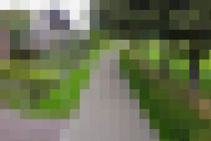 Stadslaan 78 Hattem thumbnail 37