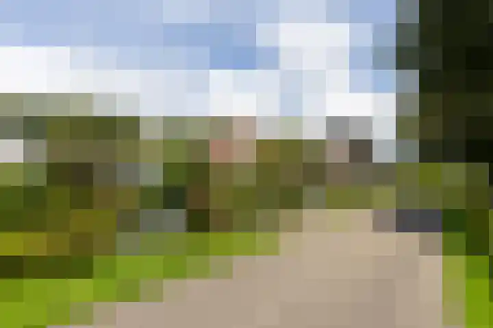 Stadslaan 78 Hattem thumbnail 38
