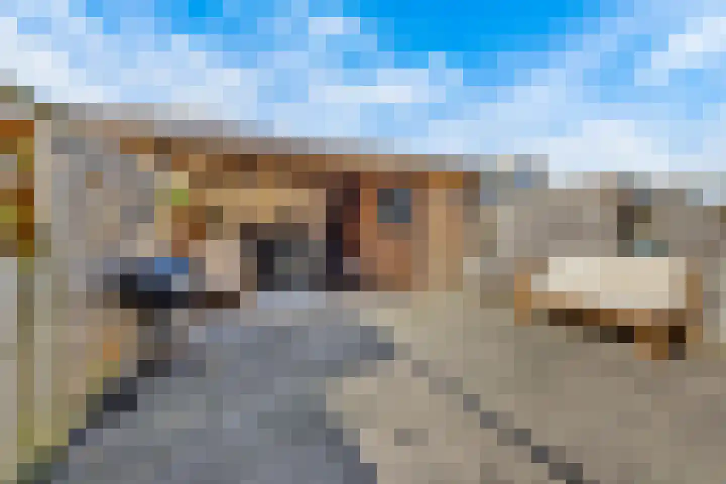 Stadsmolen 131 Maassluis thumbnail 15