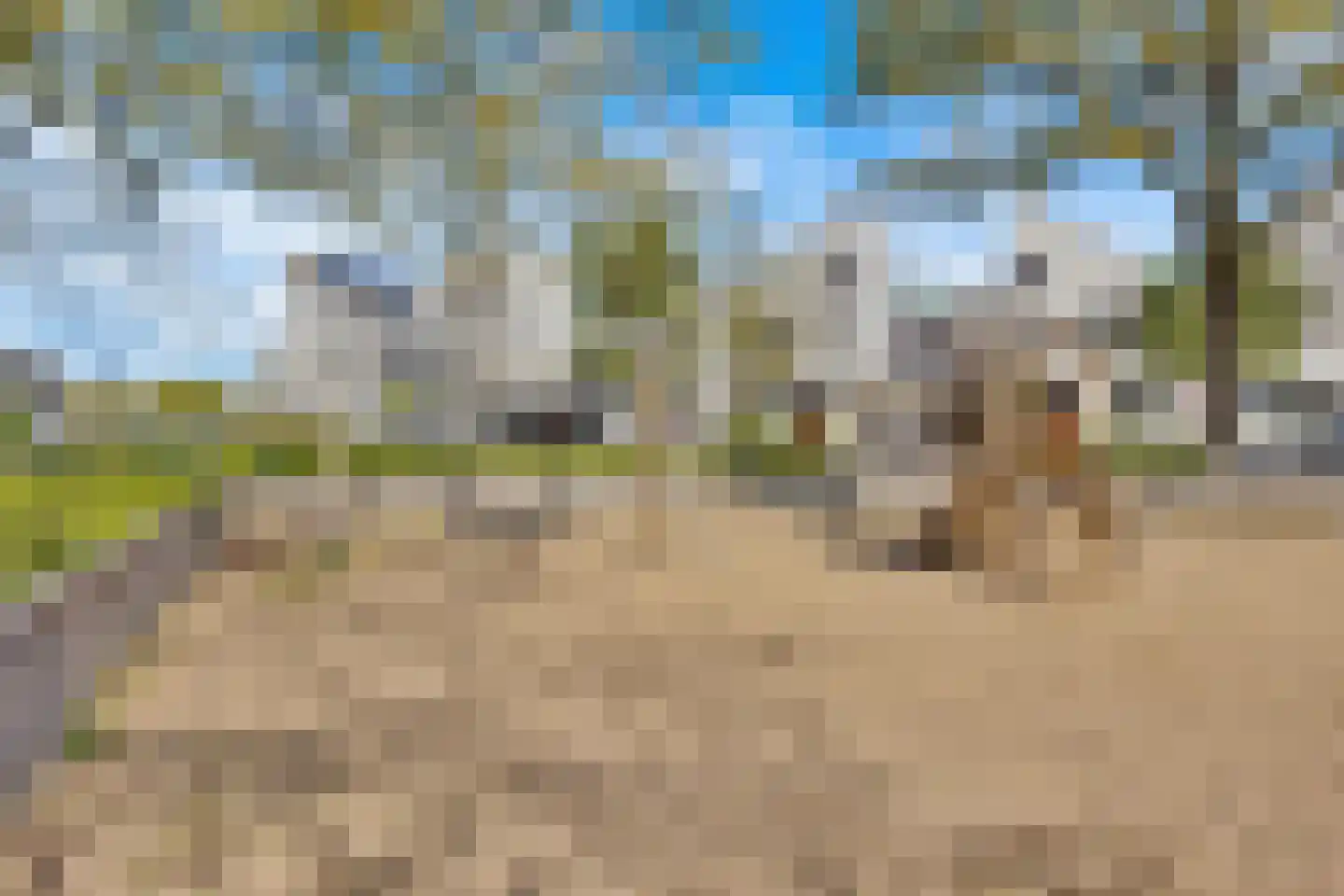 Stadsmolen 131 Maassluis thumbnail 42