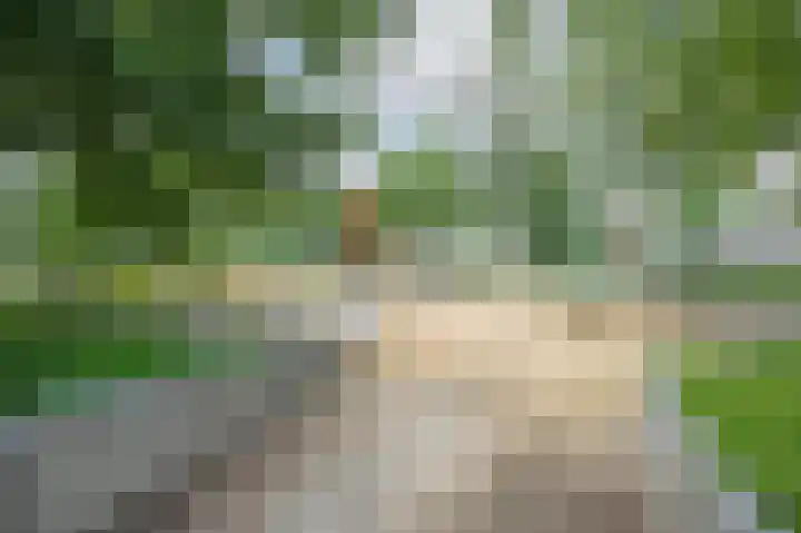 Stadsmolen 133 Maassluis thumbnail 28