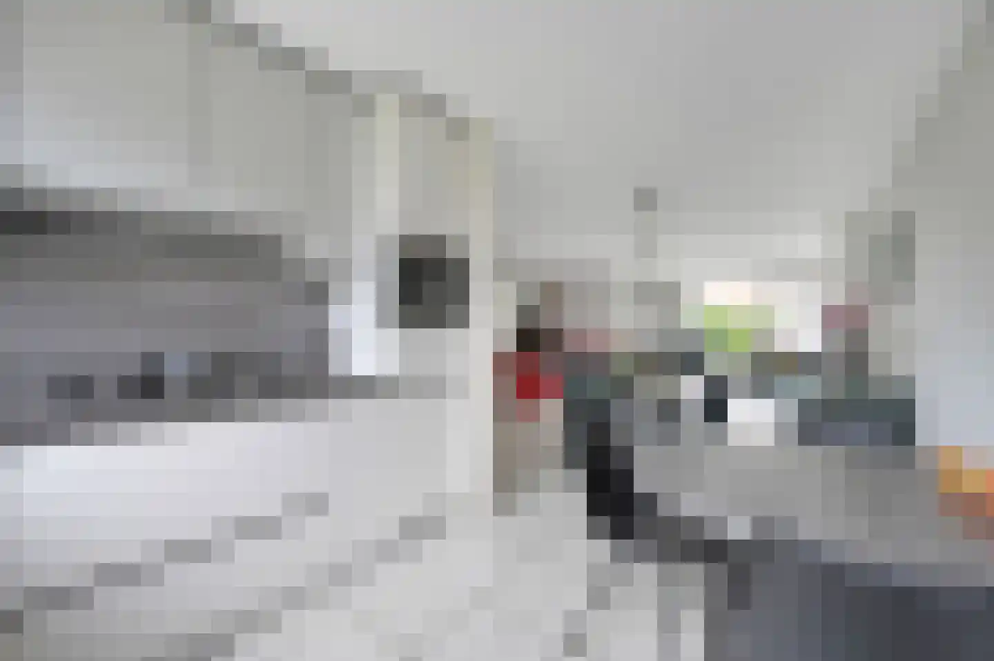 Stadsmolen 2 Maassluis thumbnail 11