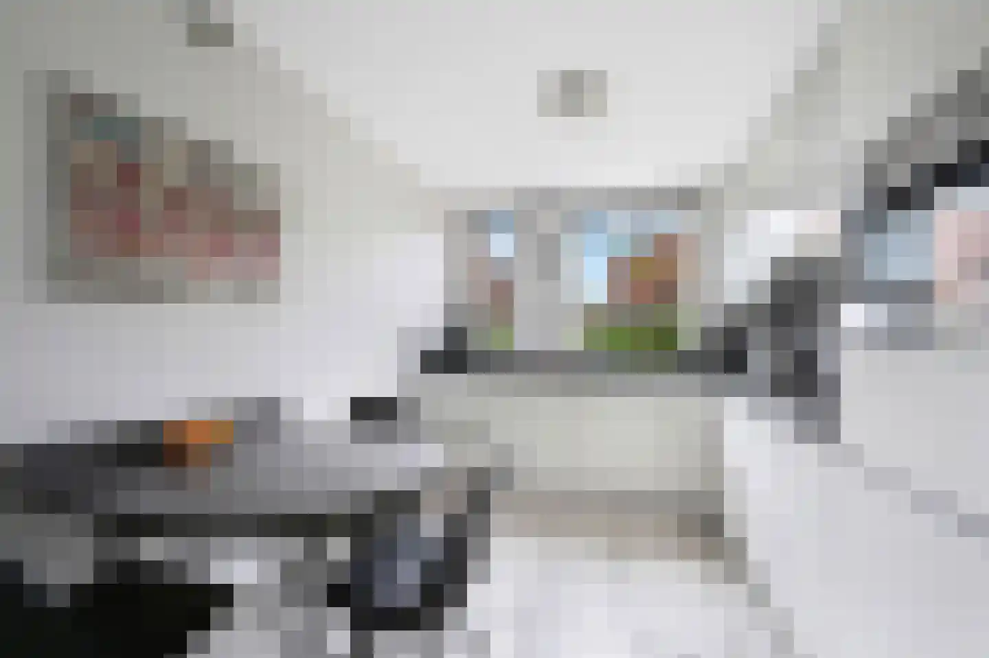 Stadsmolen 2 Maassluis thumbnail 12