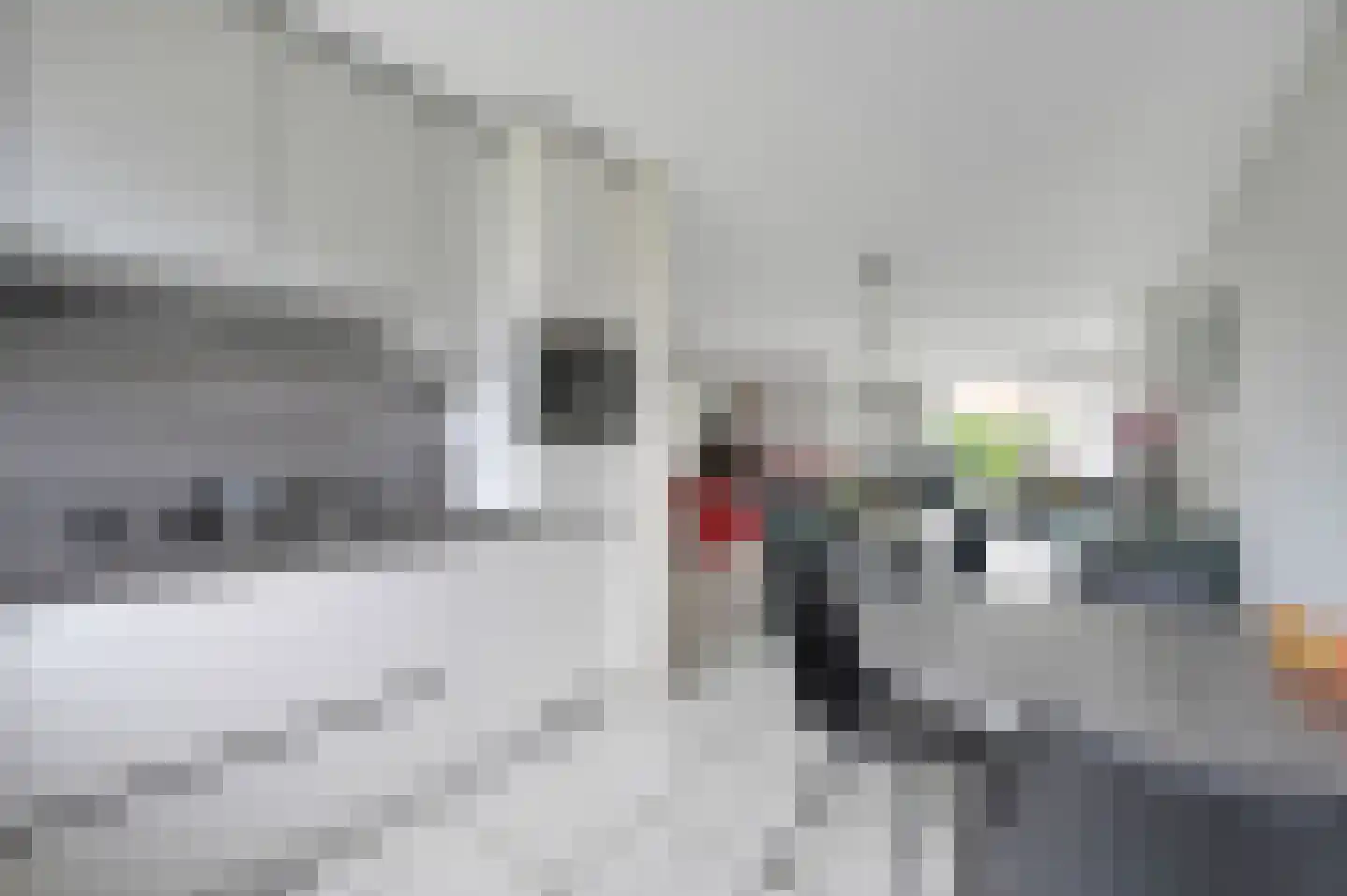 Stadsmolen 2 Maassluis thumbnail 13
