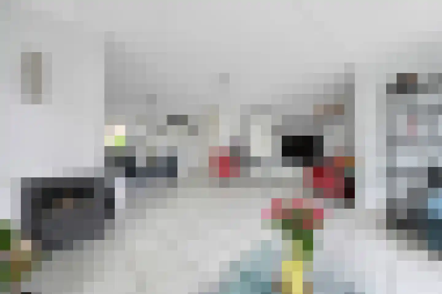 Stadsmolen 2 Maassluis thumbnail 15
