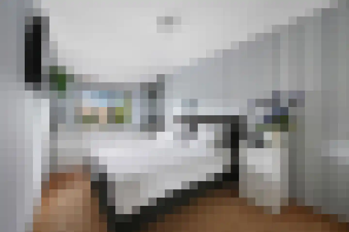 Stadsmolen 2 Maassluis thumbnail 21