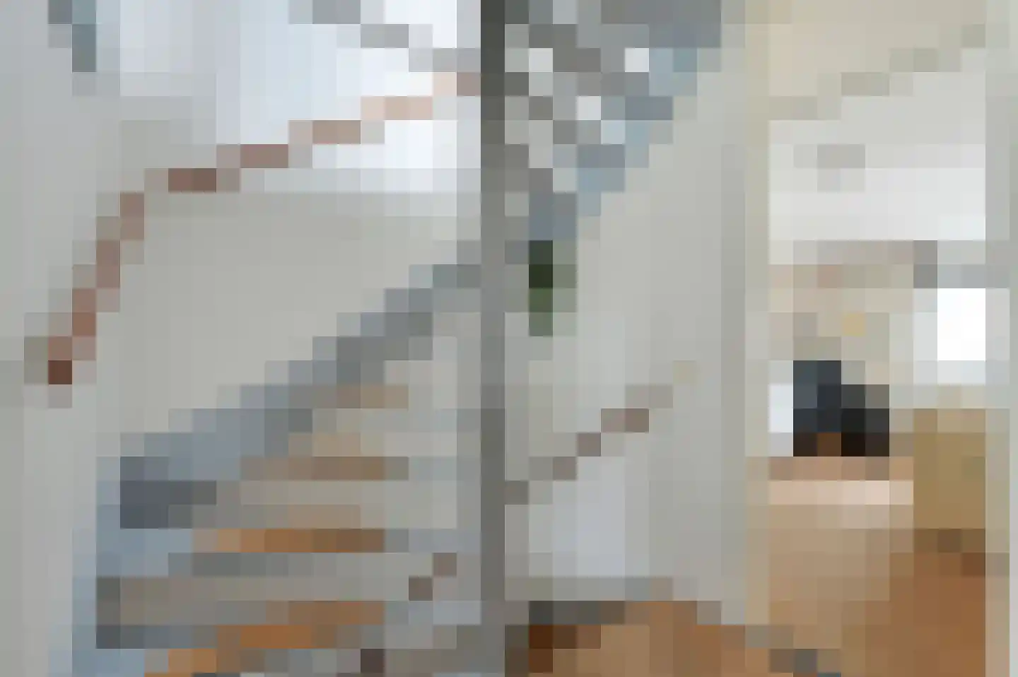 Stadsmolen 2 Maassluis thumbnail 22