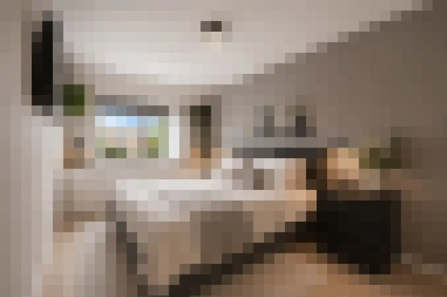 Stadsmolen 2 Maassluis thumbnail 23