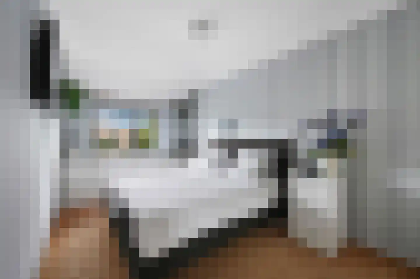 Stadsmolen 2 Maassluis thumbnail 24
