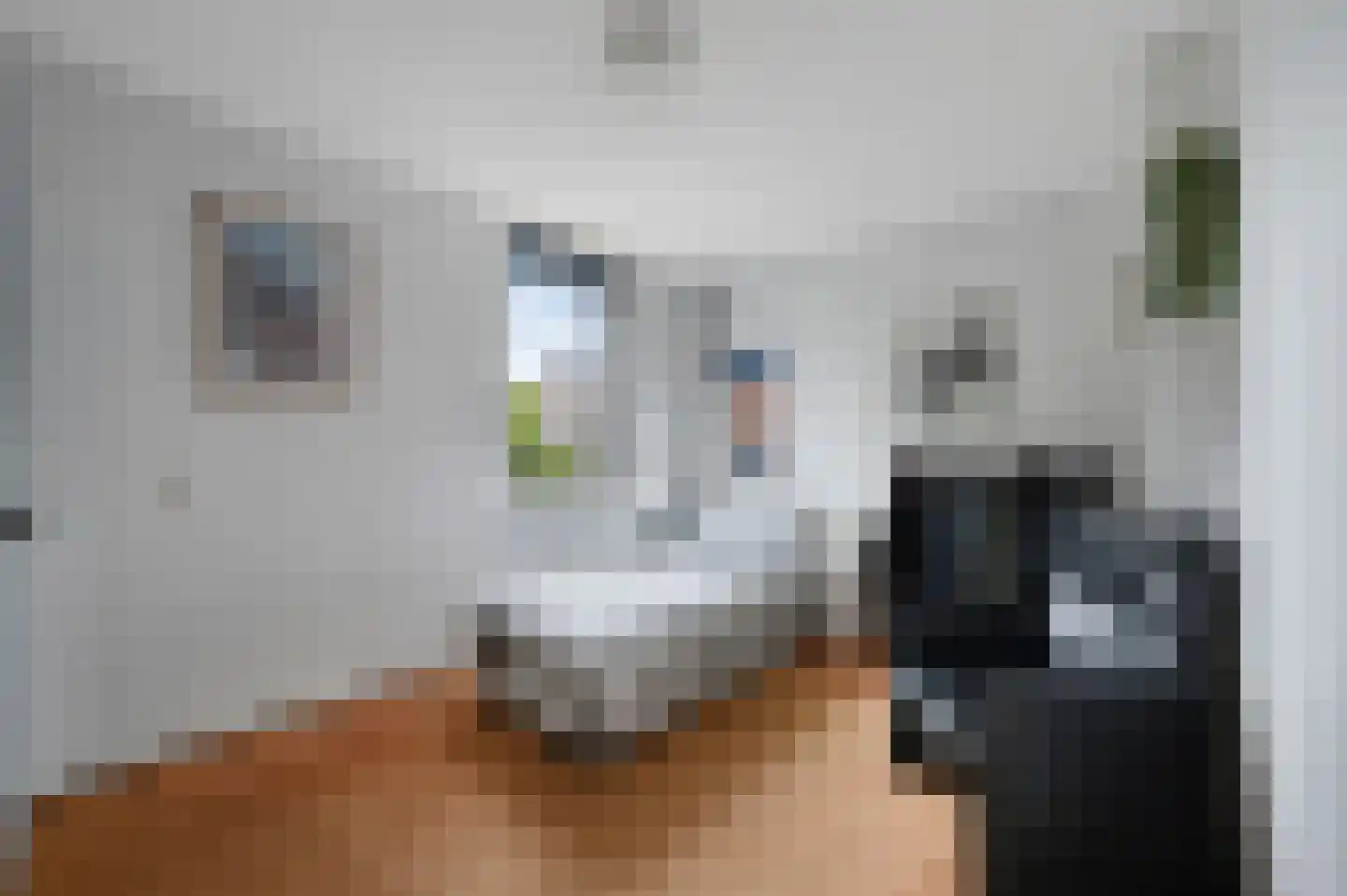 Stadsmolen 2 Maassluis thumbnail 28