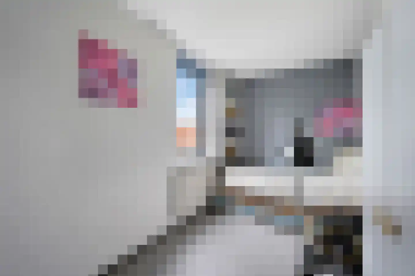 Stadsmolen 2 Maassluis thumbnail 34