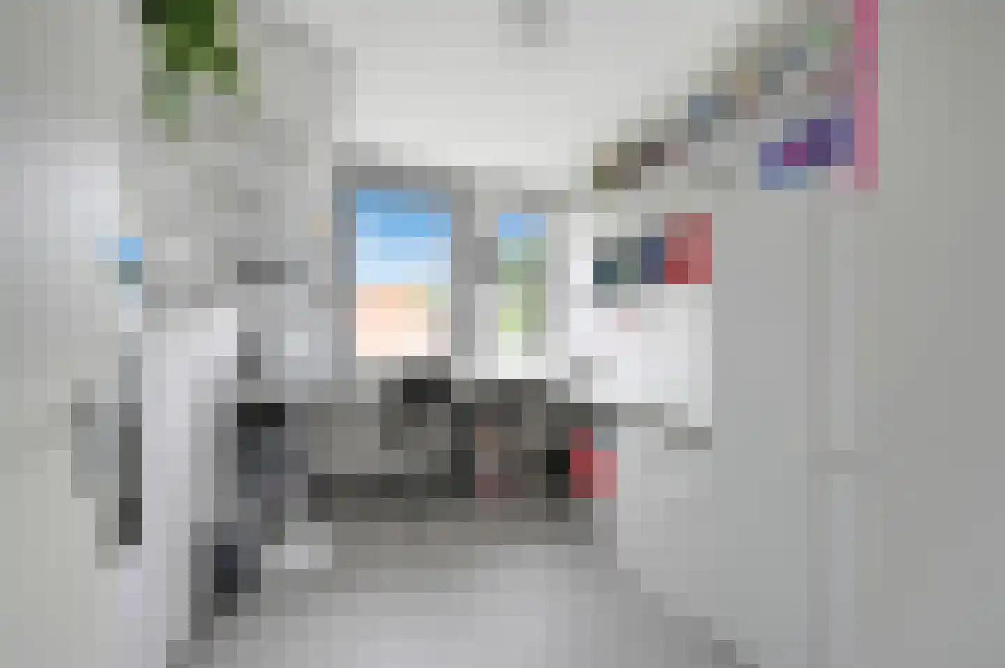 Stadsmolen 2 Maassluis thumbnail 35