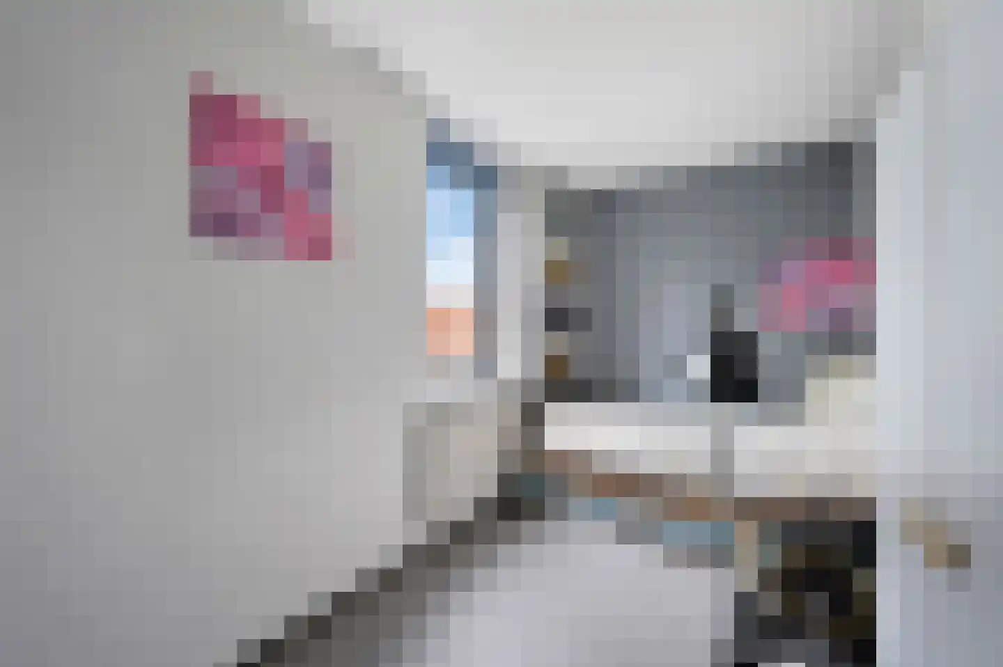 Stadsmolen 2 Maassluis thumbnail 37