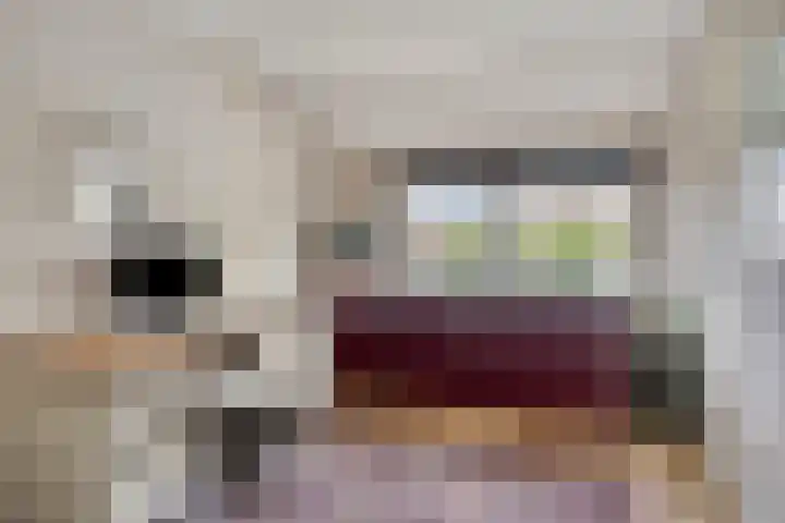 Stadsmolen 22 Maassluis thumbnail 23