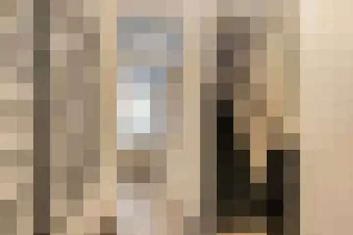 Stadsmolen 54 Maassluis thumbnail 7
