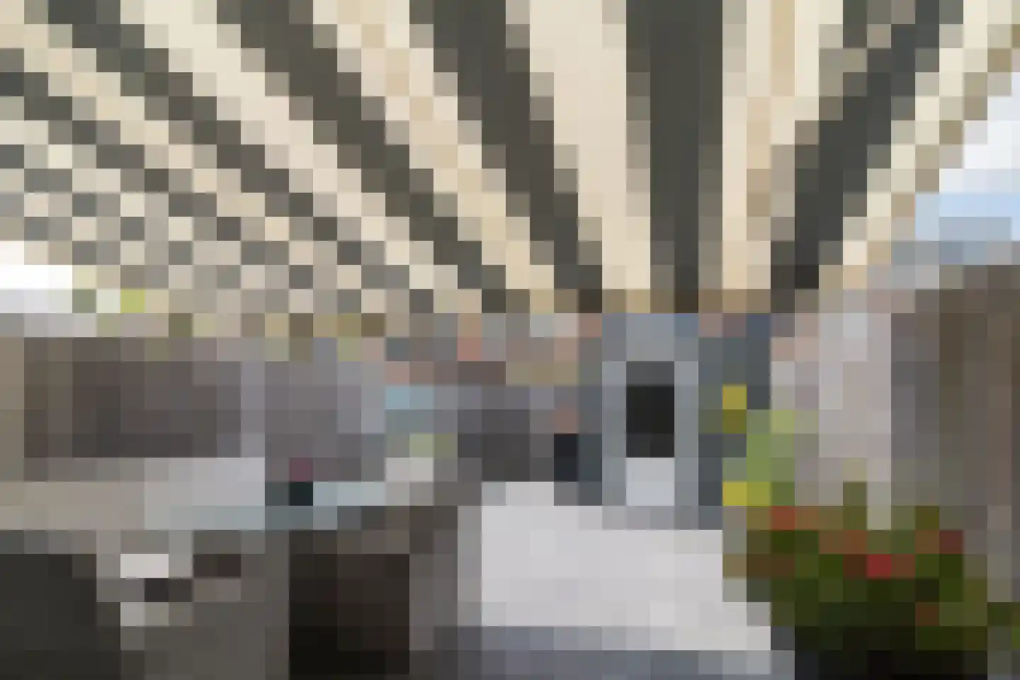 Stadsmolen 9 Maassluis thumbnail 32