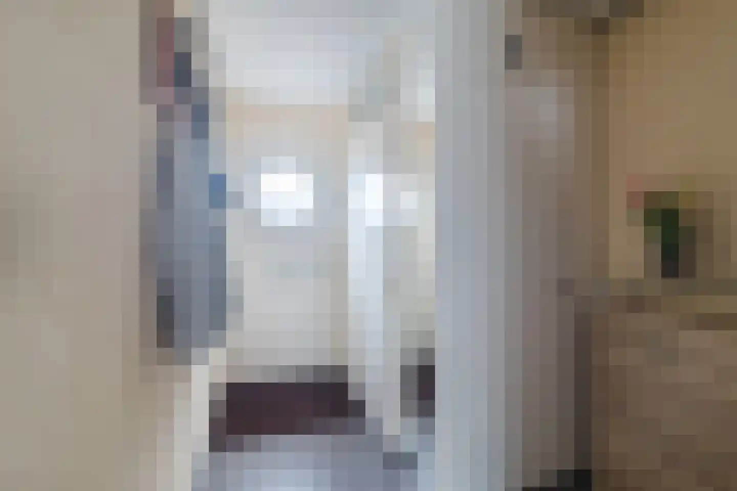 Stadsmolen 9 Maassluis thumbnail 7