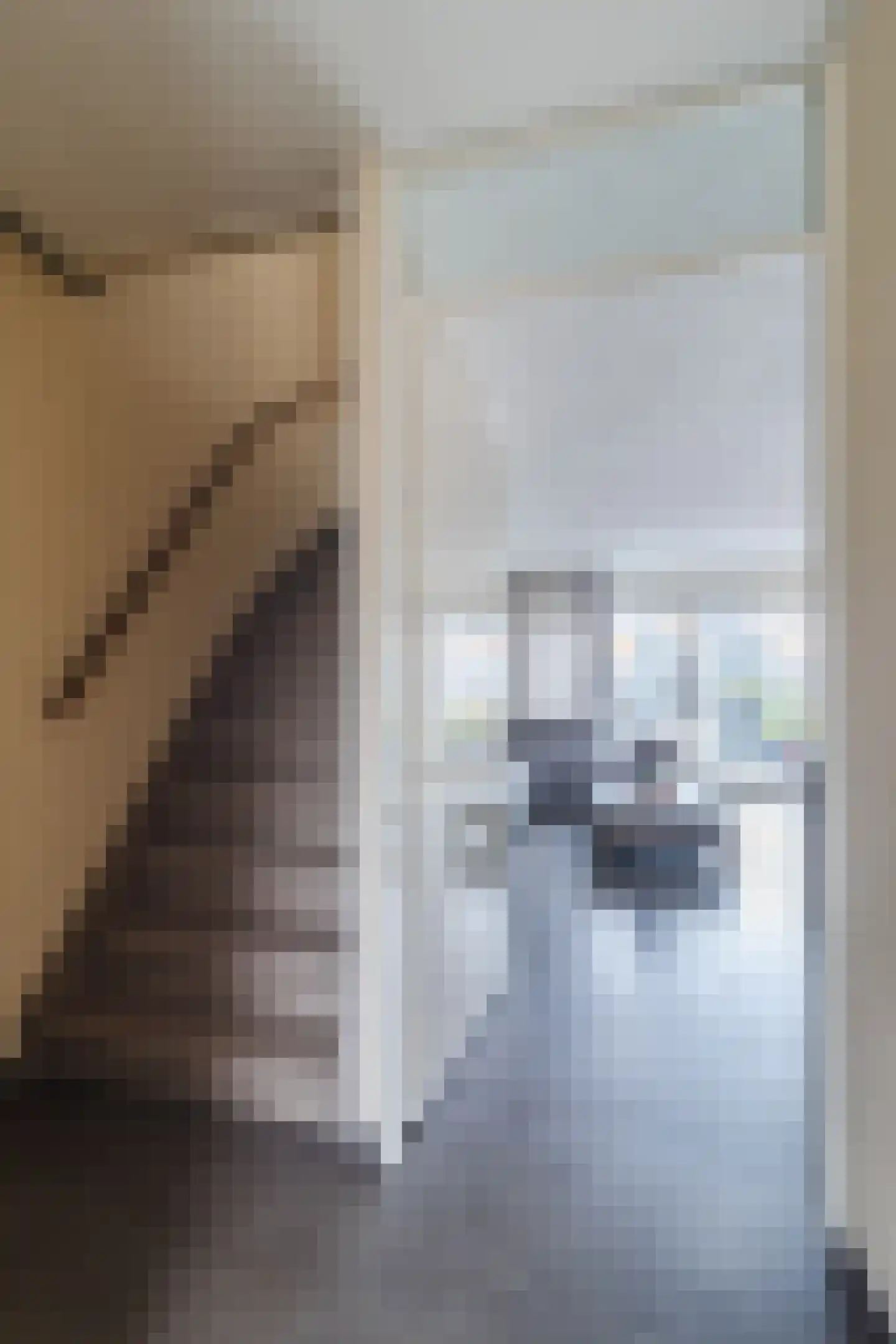 Stadsmolen 9 Maassluis thumbnail 9