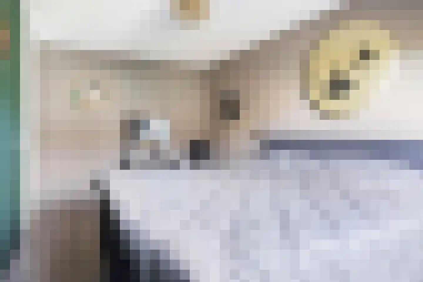 Stadsmuur 6 Houten thumbnail 22