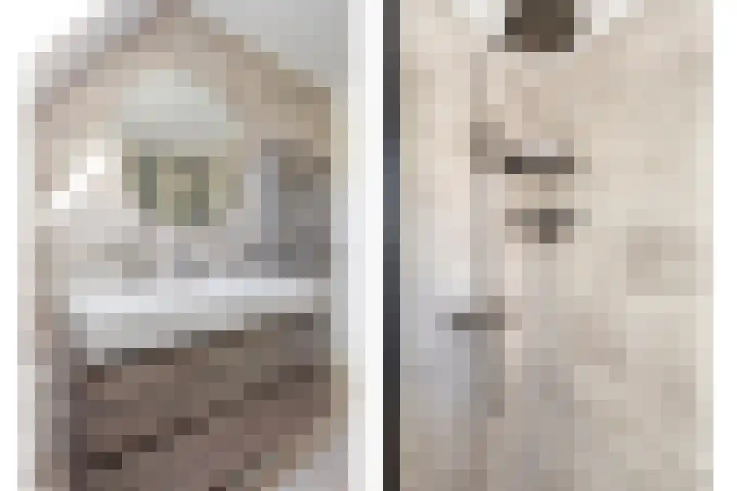 Stadsmuur 6 Houten thumbnail 30