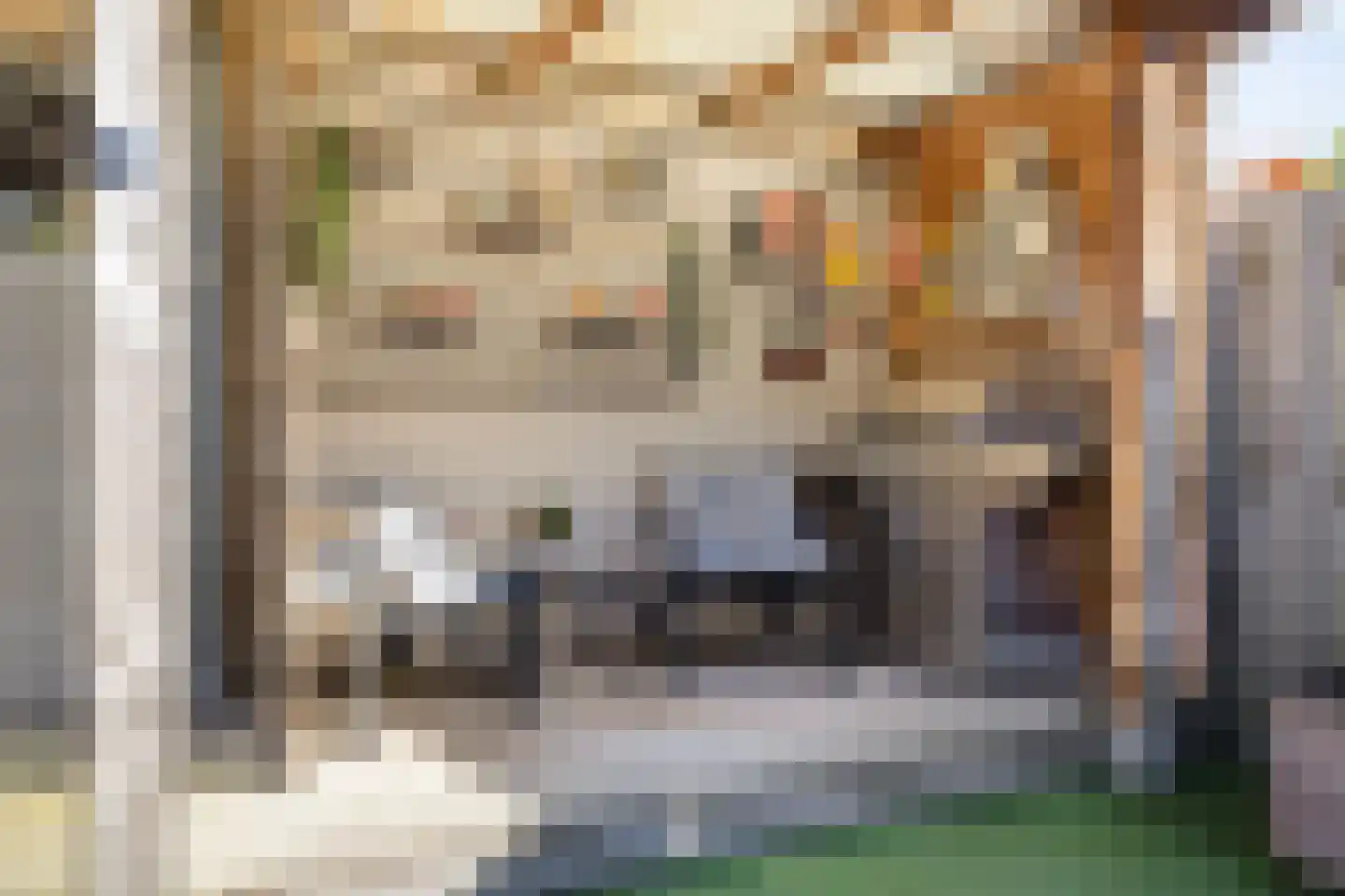 Stadsmuur 6 Houten thumbnail 35