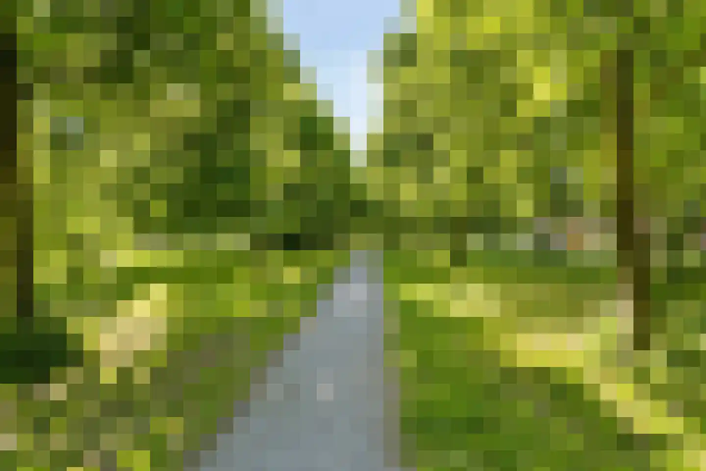 Stadsmuur 6 Houten thumbnail 41