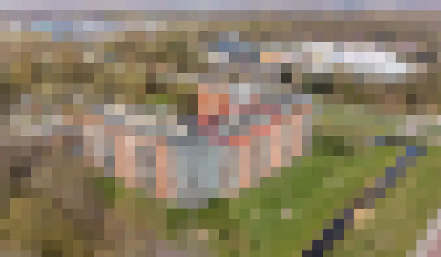 Stadspark 31 Lelystad thumbnail 5