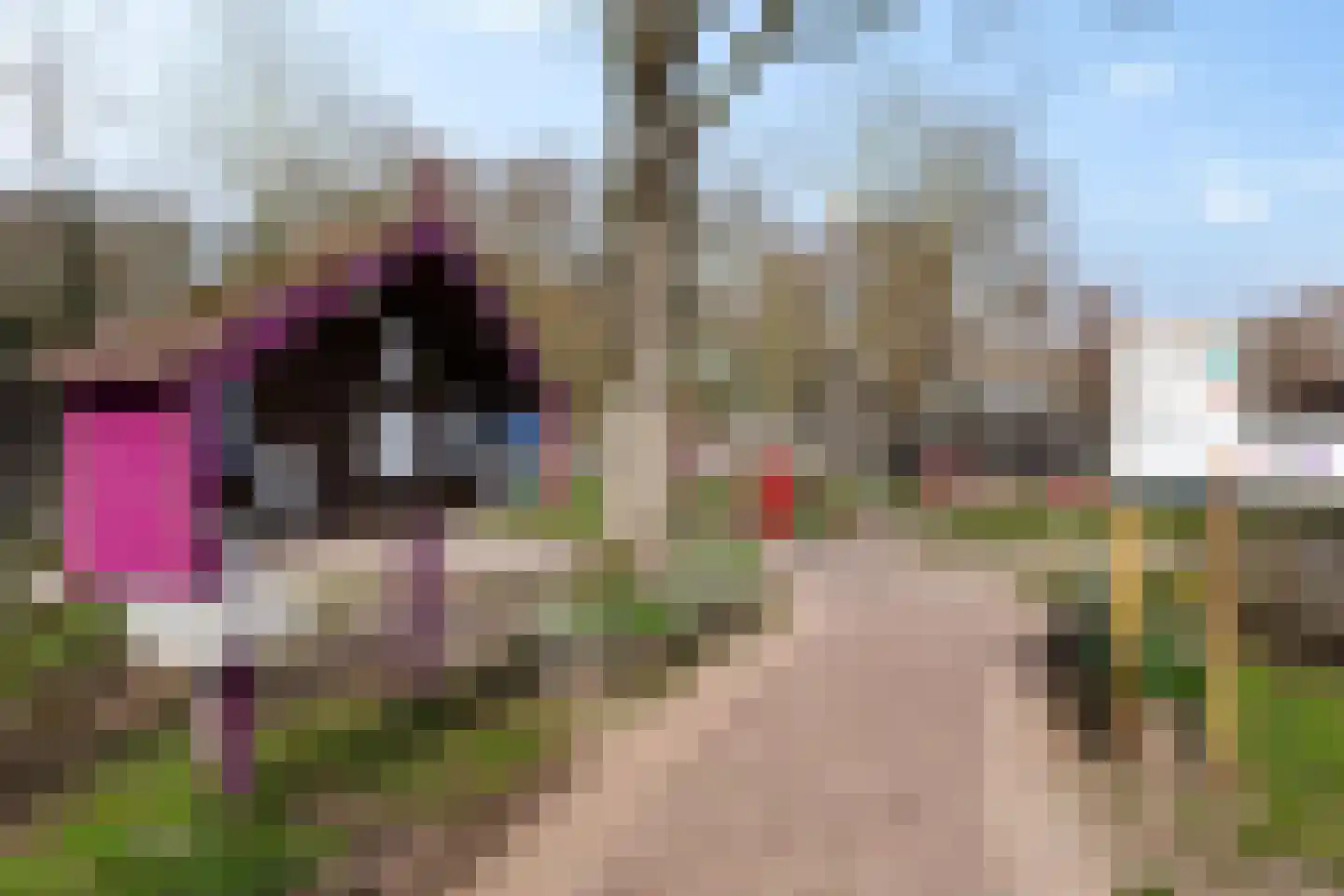 Stadspark 31 Lelystad thumbnail 66