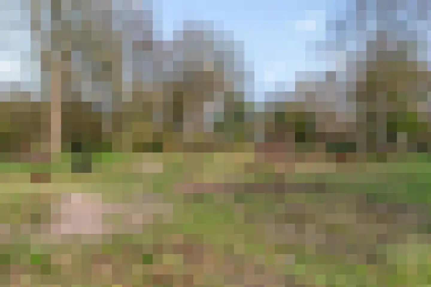 Stadspark 31 Lelystad thumbnail 67