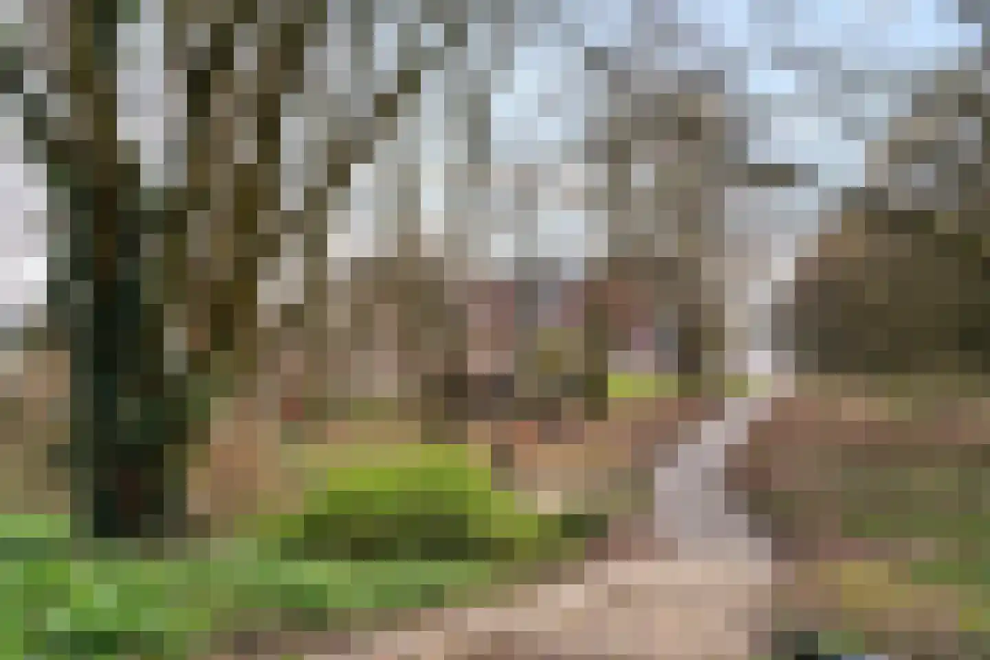 Stadspark 31 Lelystad thumbnail 68