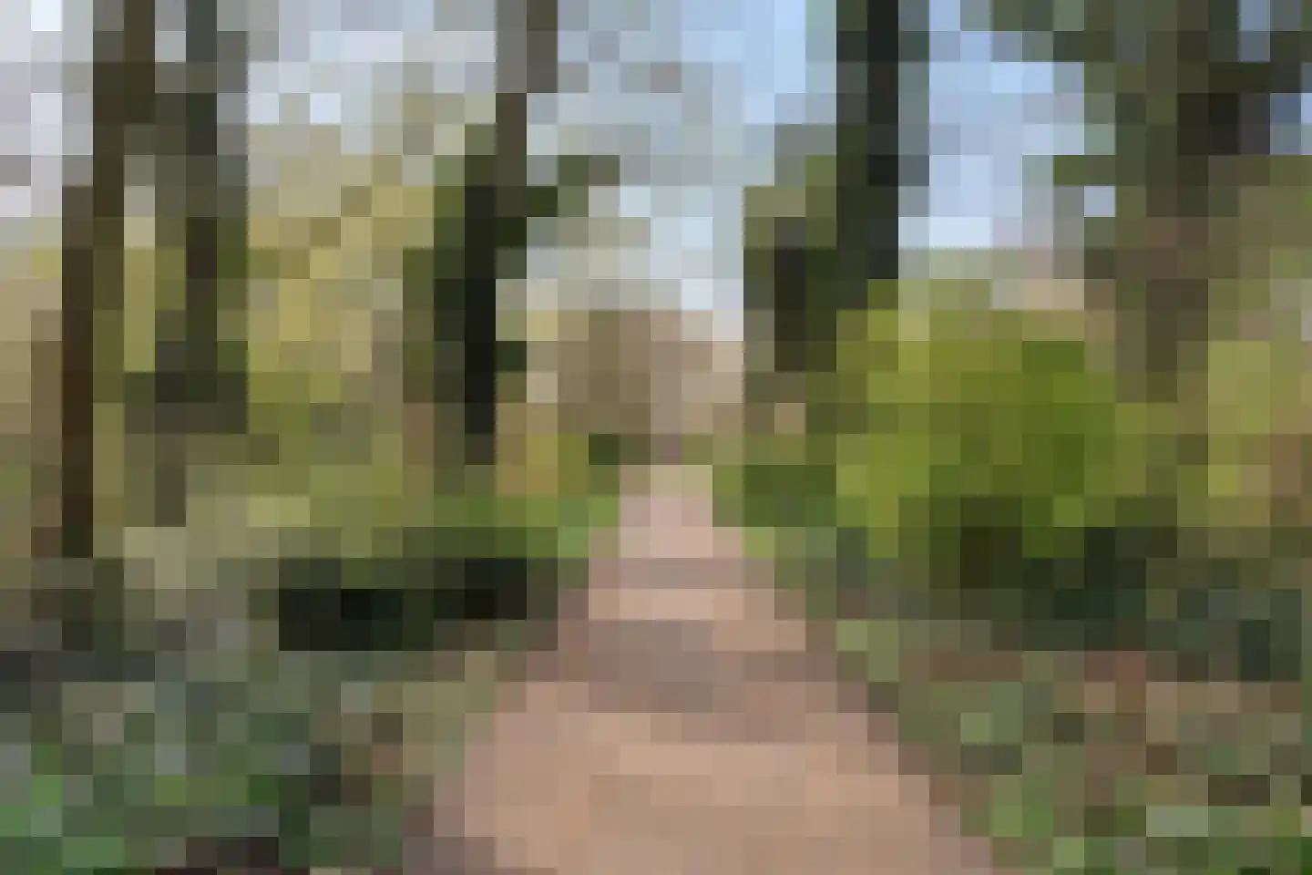 Stadspark 31 Lelystad thumbnail 69