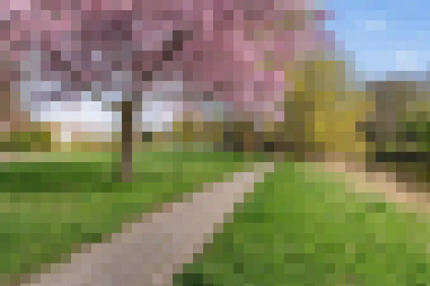 Stadspark 31 Lelystad thumbnail 70