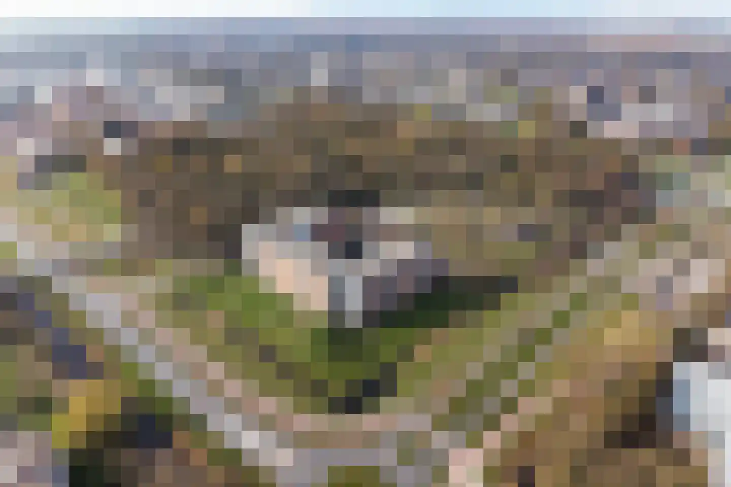 Stadspark 31 Lelystad thumbnail 72