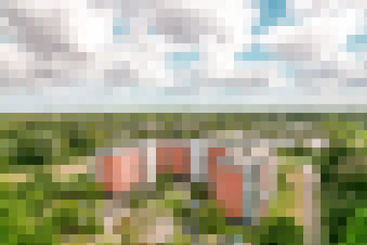 Stadspark 55 Lelystad thumbnail 35