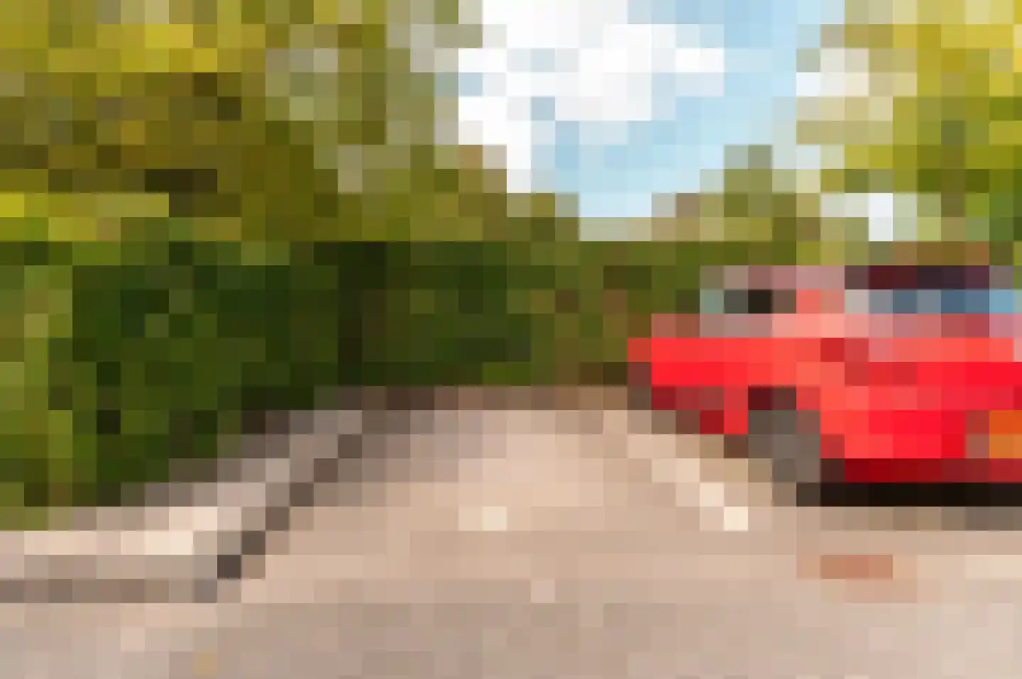 Stadspark 55 Lelystad thumbnail 4