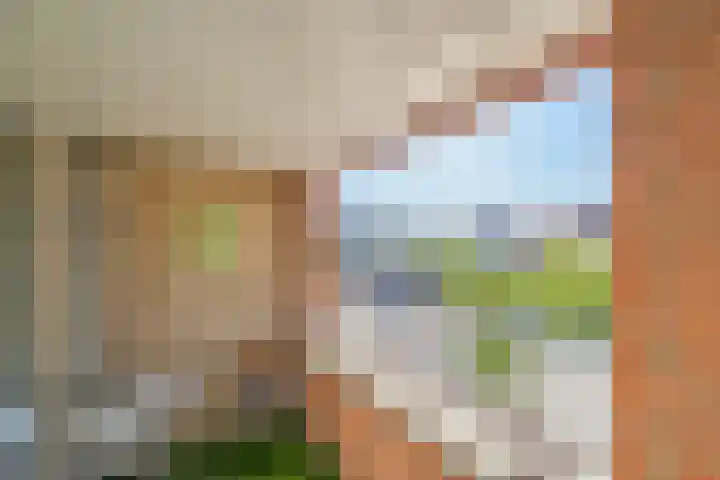 Stadsplein 9 Capelle aan den IJssel thumbnail 11