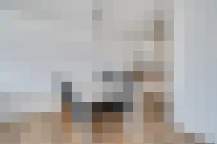 Stadsplein 9 Capelle aan den IJssel thumbnail 13