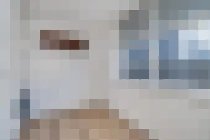 Stadsplein 9 Capelle aan den IJssel thumbnail 20