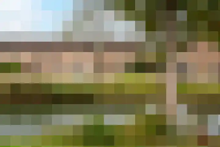 Stadspolderring 143 Dordrecht thumbnail 53