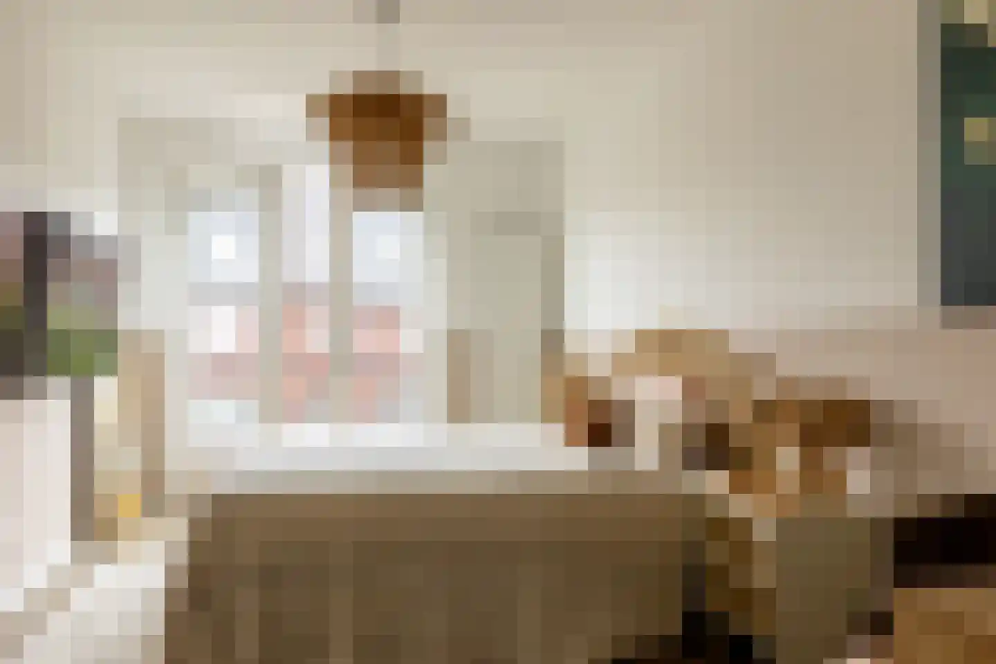 Stadspolderring 208 Dordrecht thumbnail 4