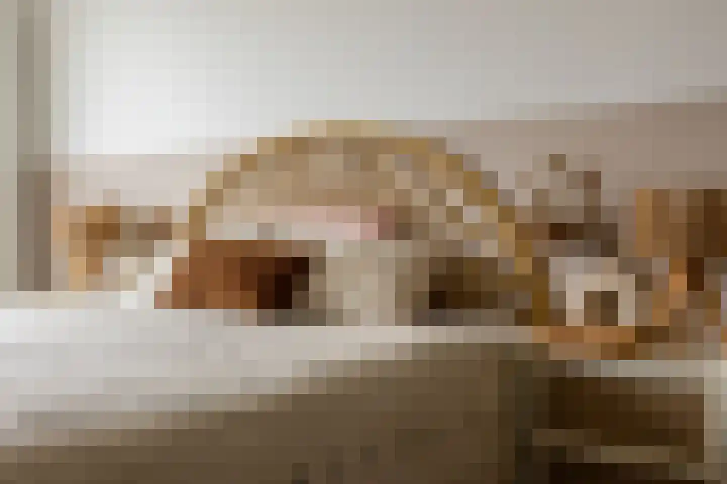 Stadspolderring 208 Dordrecht thumbnail 43