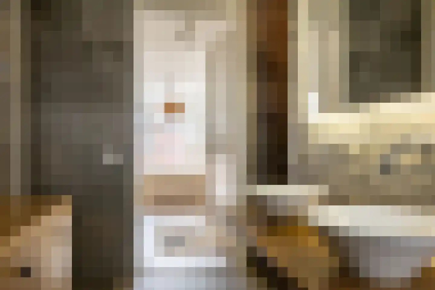 Stadspolderring 208 Dordrecht thumbnail 54