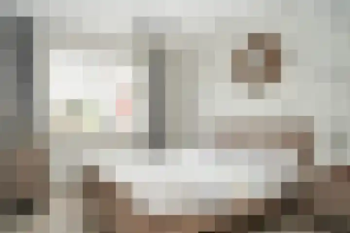 Stadspolderring 214 Dordrecht thumbnail 4