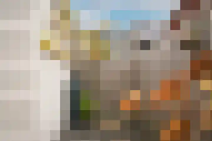 Stadspolderring 214 Dordrecht thumbnail 42