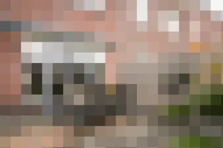 Stadspolderring 214 Dordrecht thumbnail 43