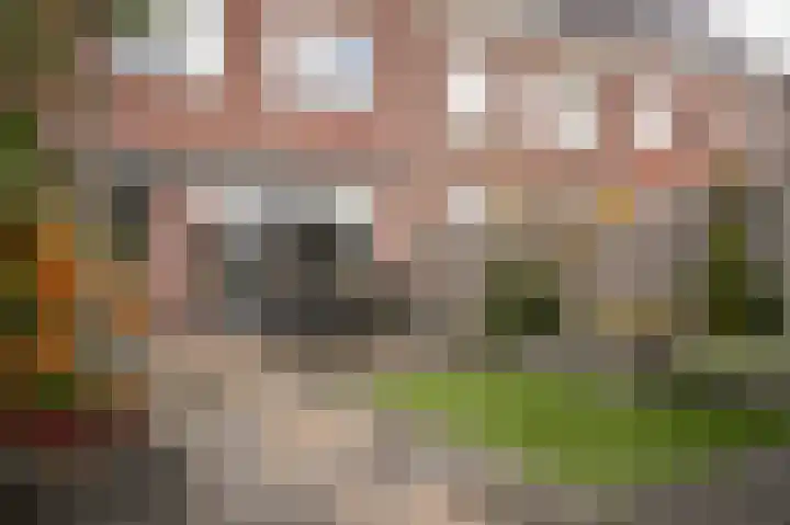 Stadspolderring 214 Dordrecht thumbnail 6