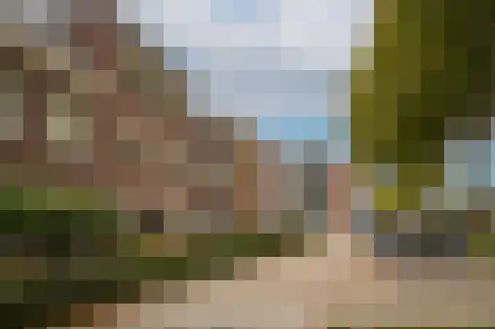 Stadspolderring 214 Dordrecht thumbnail 9