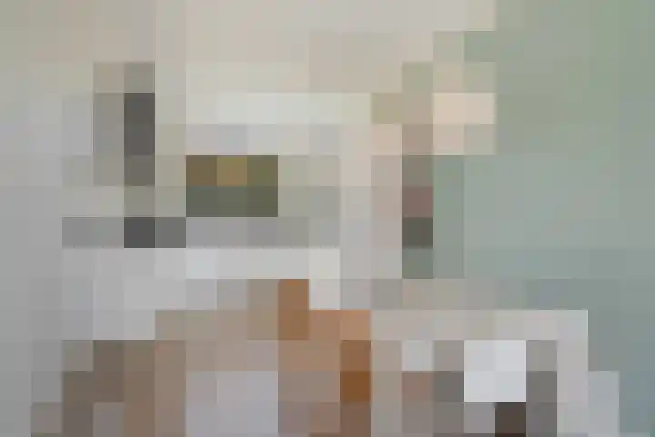 Stadspolderring 216 Dordrecht thumbnail 14