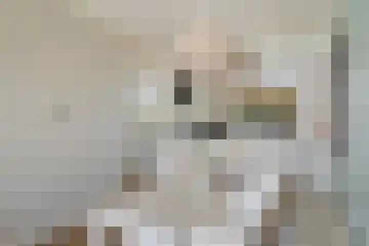 Stadspolderring 216 Dordrecht thumbnail 15