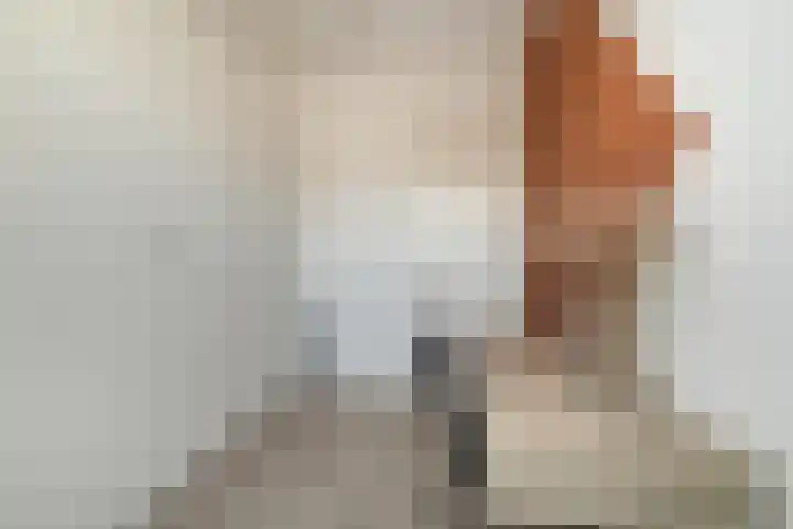 Stadspolderring 216 Dordrecht thumbnail 46